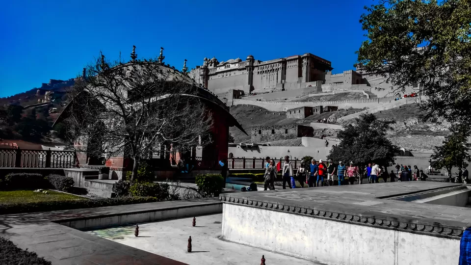 Photo of Jaipur Diaries by Priyanka Travels