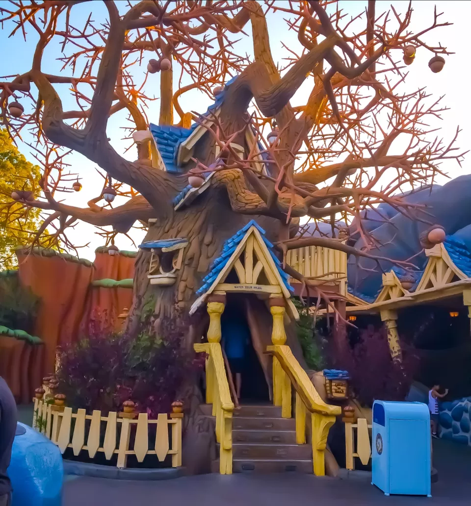 Photo of Disneyland Park By Priyanka Travels 