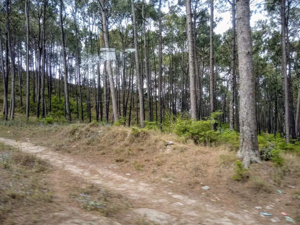 Photo of Amazing Sandhole Summers Trip by Ankur Mandhotra (proudpahadi_003)