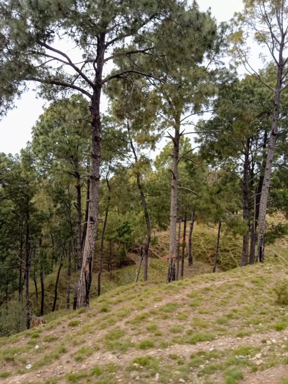 Photo of Amazing Sandhole Summers Trip by Ankur Mandhotra (proudpahadi_003)