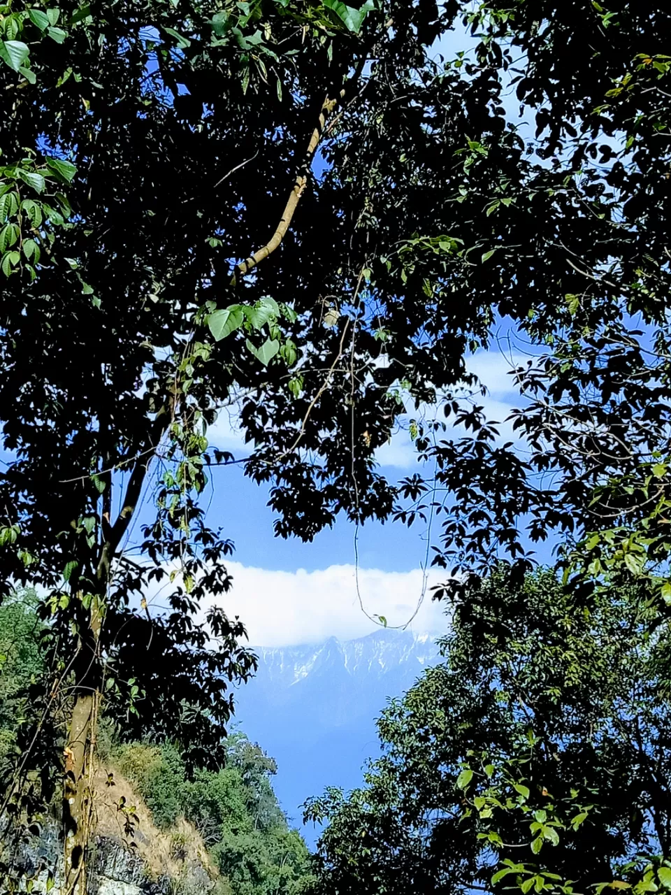Photo of 22 days in the primitive or reserved land of sikkim ... Gnon Sangdong (north sikkim) by Ajanta Tamang
