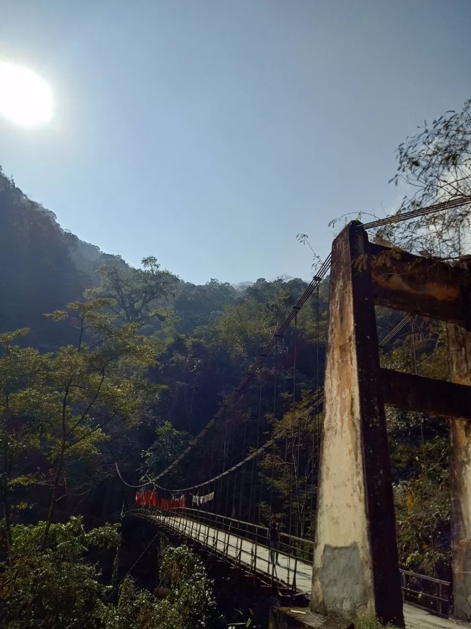 Photo of 22 days in the primitive or reserved land of sikkim ... Gnon Sangdong (north sikkim) by Ajanta Tamang