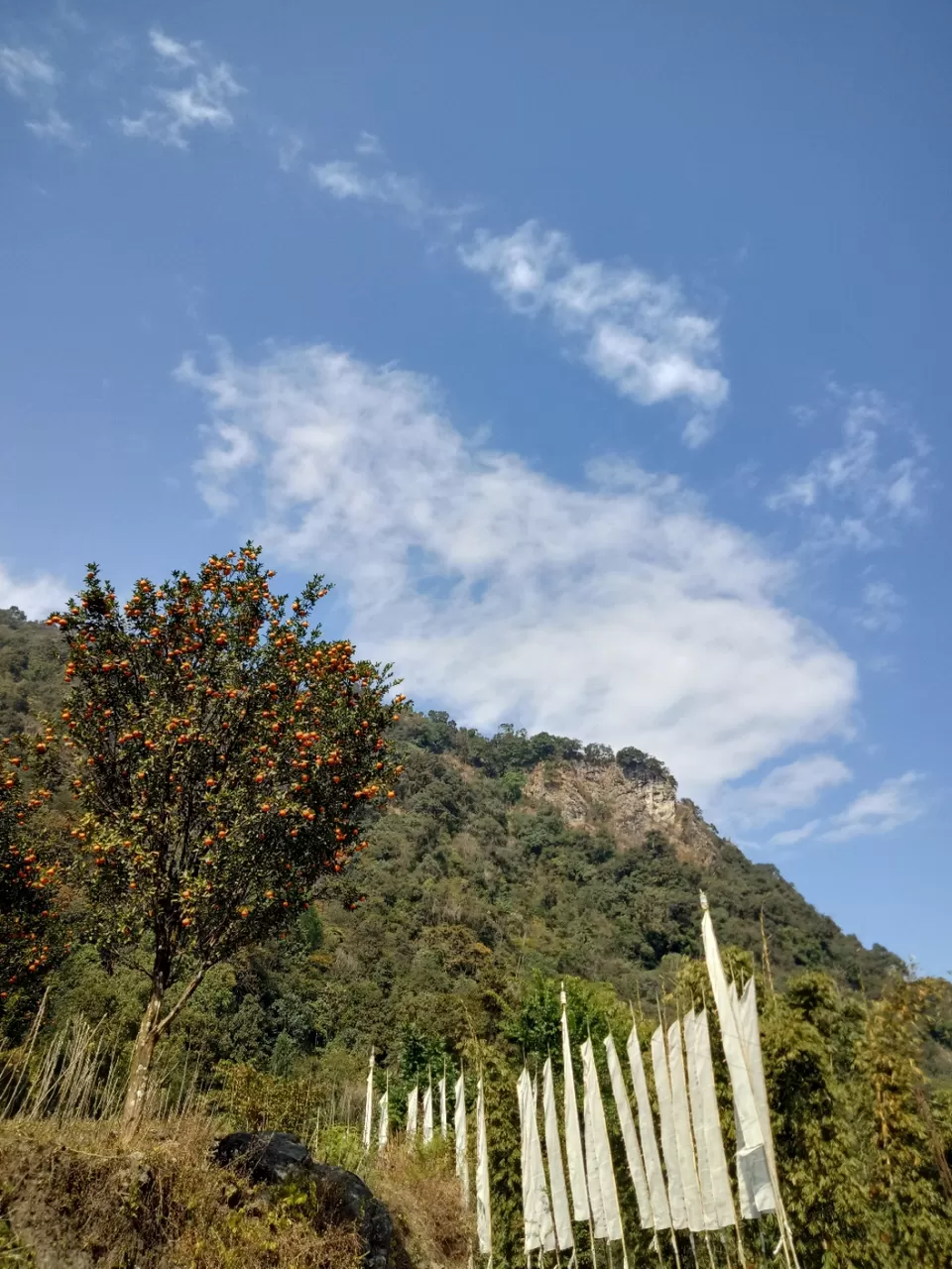Photo of 22 days in the primitive or reserved land of sikkim ... Gnon Sangdong (north sikkim) by Ajanta Tamang