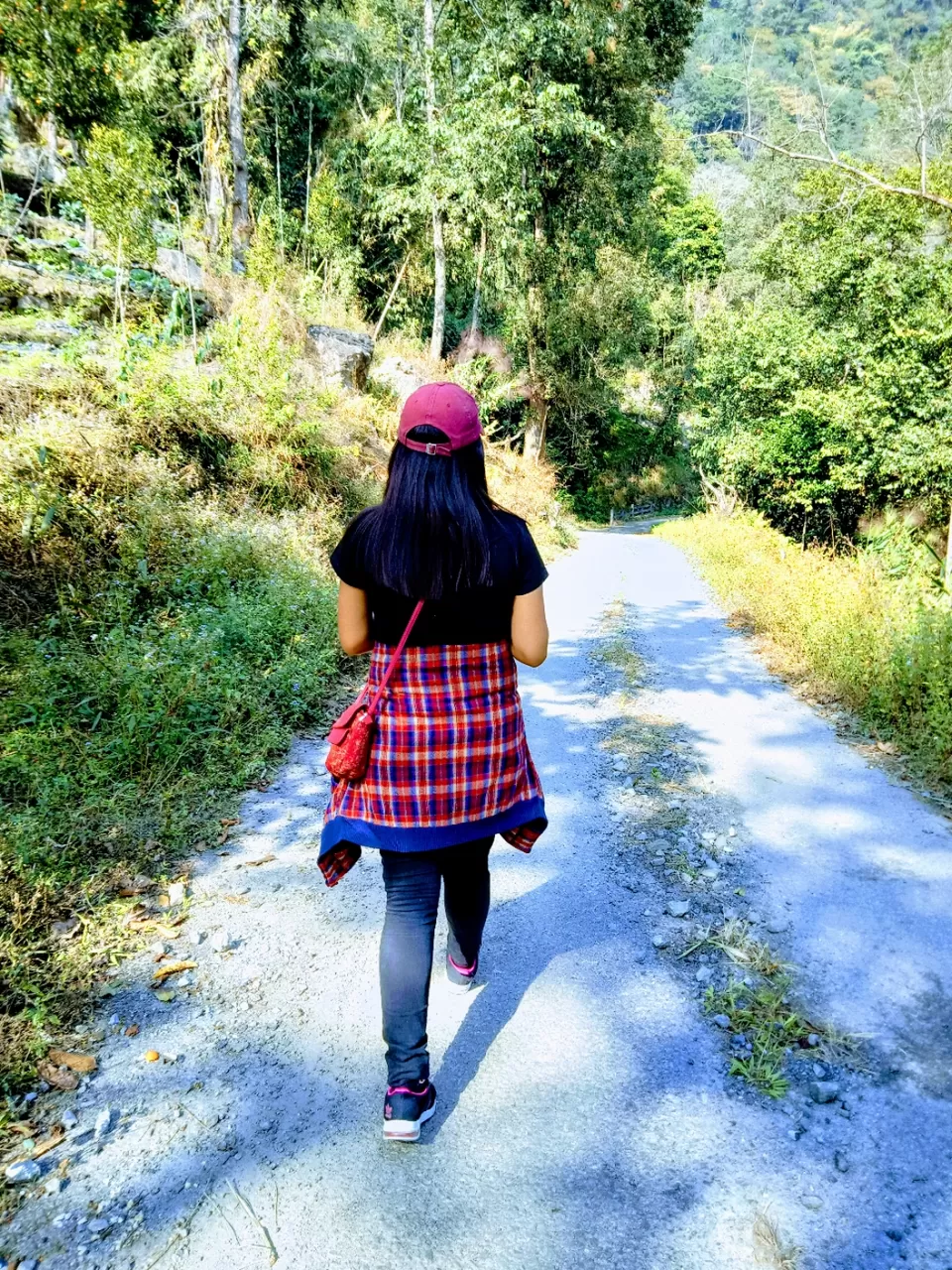 Photo of 22 days in the primitive or reserved land of sikkim ... Gnon Sangdong (north sikkim) by Ajanta Tamang