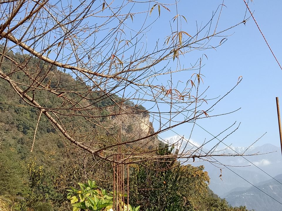 Photo of 22 days in the primitive or reserved land of sikkim ... Gnon Sangdong (north sikkim) by Ajanta Tamang