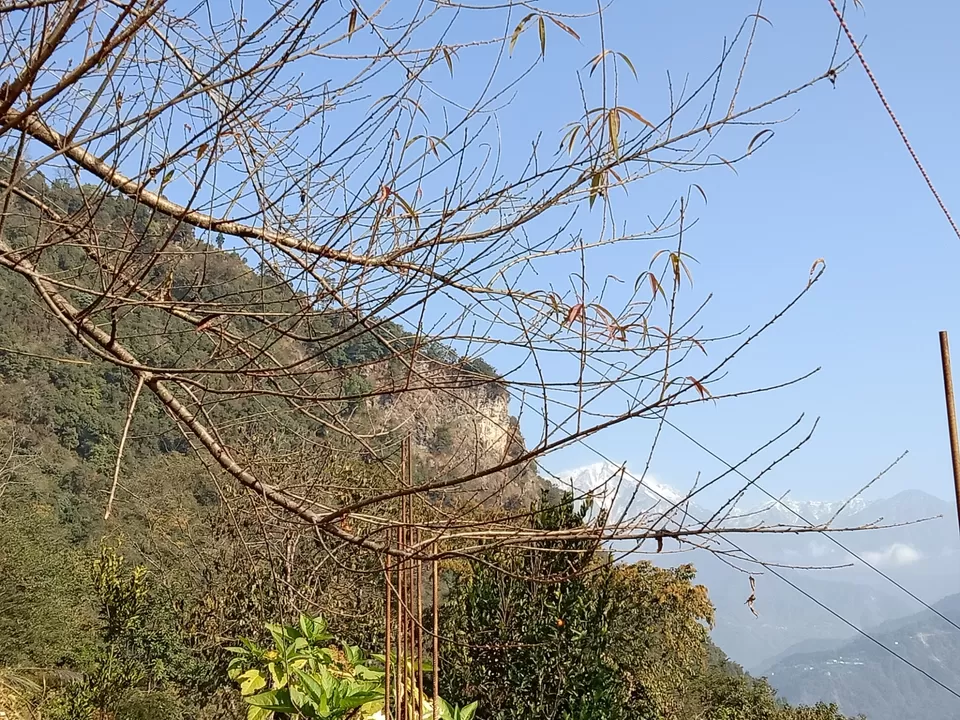 Photo of 22 days in the primitive or reserved land of sikkim ... Gnon Sangdong (north sikkim) by Ajanta Tamang