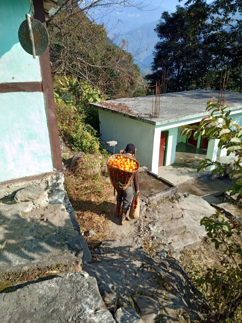 Photo of 22 days in the primitive or reserved land of sikkim ... Gnon Sangdong (north sikkim) by Ajanta Tamang