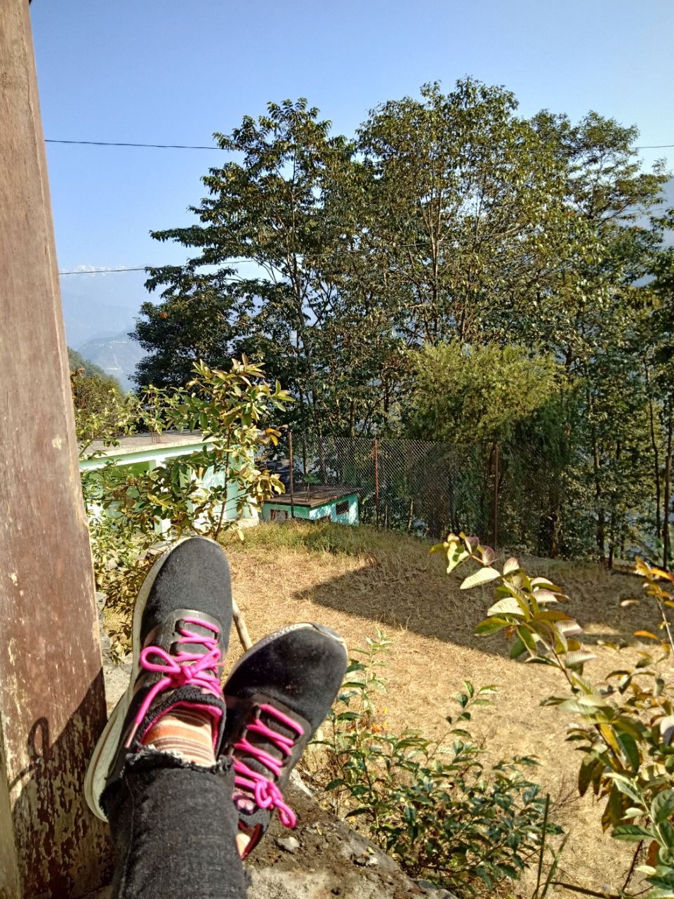 Photo of 22 days in the primitive or reserved land of sikkim ... Gnon Sangdong (north sikkim) by Ajanta Tamang