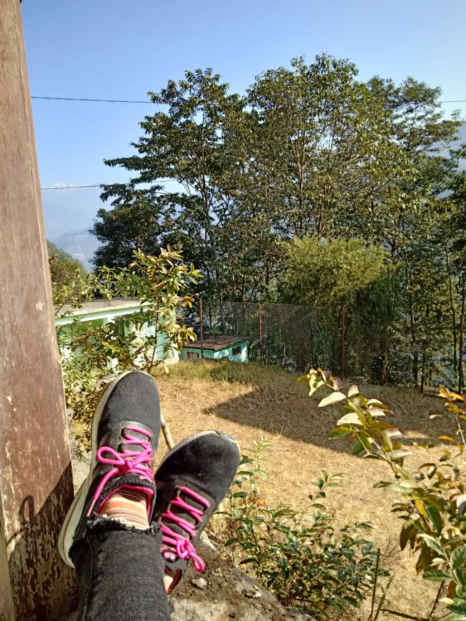 Photo of 22 days in the primitive or reserved land of sikkim ... Gnon Sangdong (north sikkim) by Ajanta Tamang