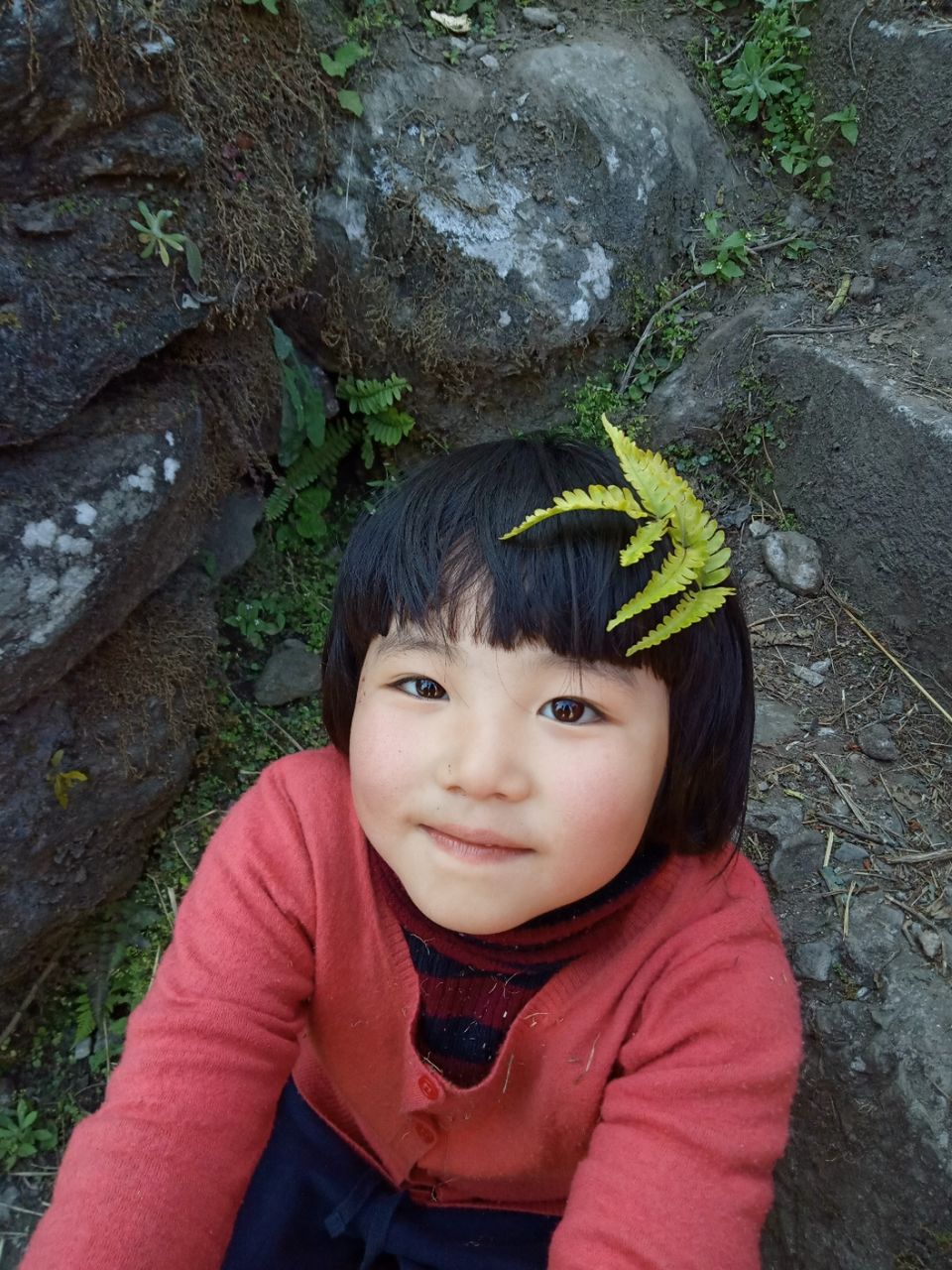 Photo of 22 days in the primitive or reserved land of sikkim ... Gnon Sangdong (north sikkim) by Ajanta Tamang