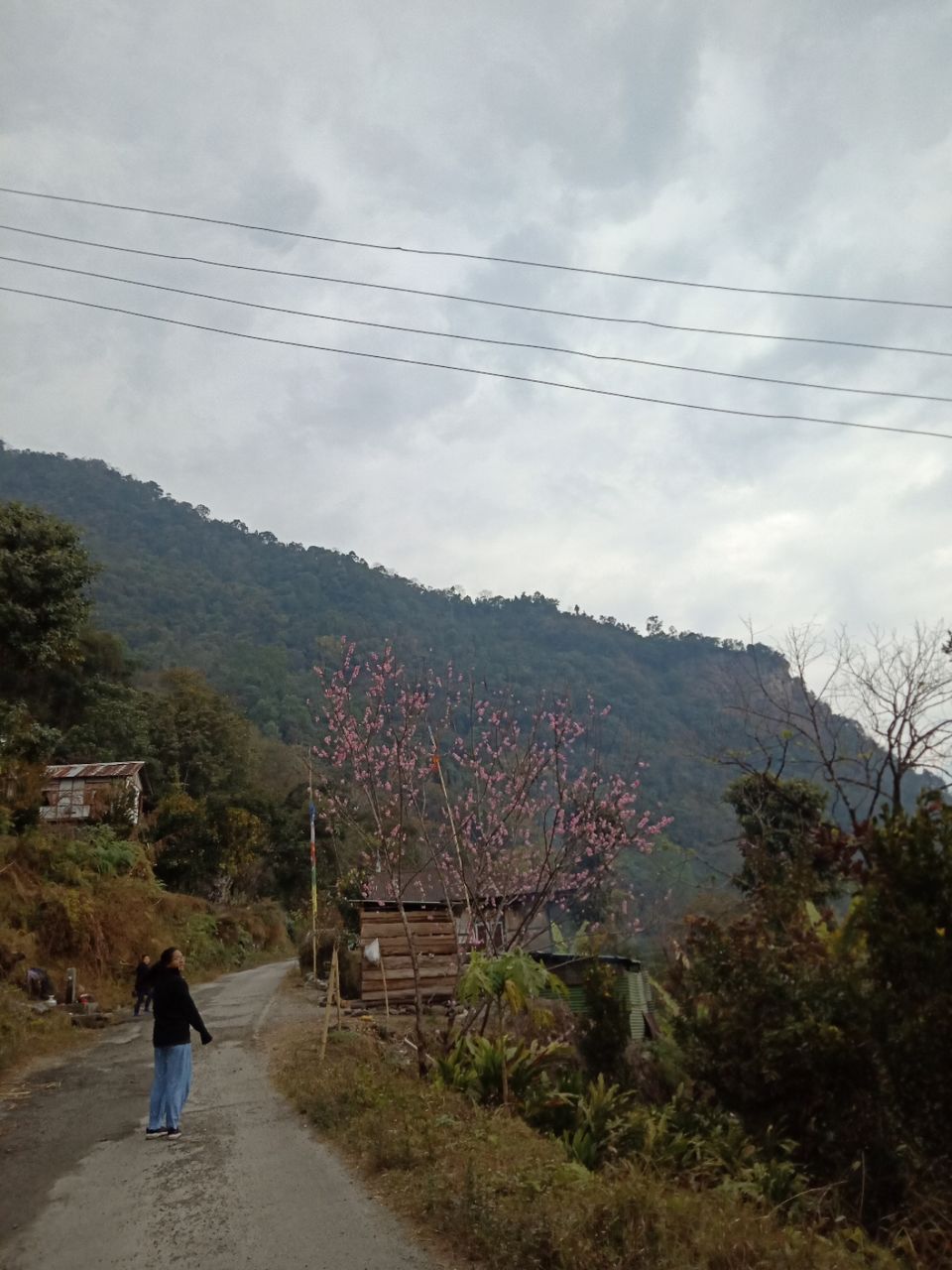 Photo of 22 days in the primitive or reserved land of sikkim ... Gnon Sangdong (north sikkim) by Ajanta Tamang
