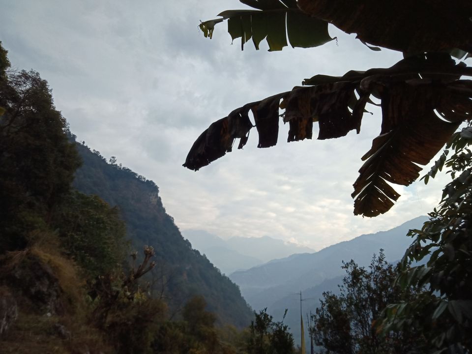 Photo of 22 days in the primitive or reserved land of sikkim ... Gnon Sangdong (north sikkim) by Ajanta Tamang