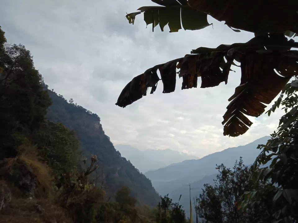 Photo of 22 days in the primitive or reserved land of sikkim ... Gnon Sangdong (north sikkim) by Ajanta Tamang