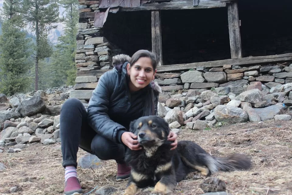Photo of Kutla, Himachal Pradesh, India by Neha Sheokand