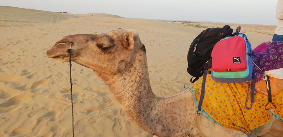 Photo of Jaisalmer, Rajasthan, India by Neha Sheokand