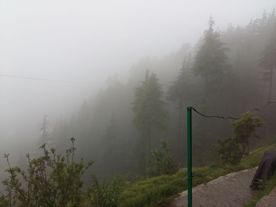 Photo of Kanatal, Kaudia Range, Uttarakhand, India by Neha Sheokand