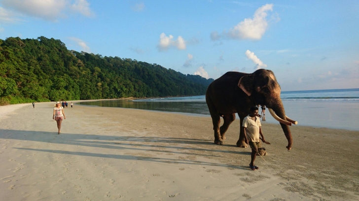 A Romantic Escape To Andaman And Nicobar Islands Tripoto