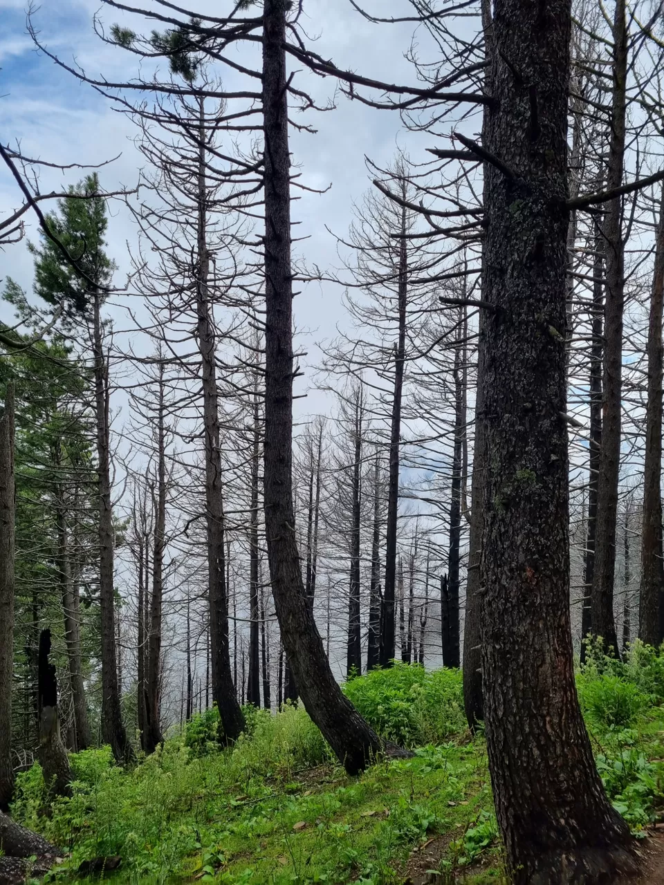 Photo of Kashmir Great Lakes Trek by MuXamil Bhatt