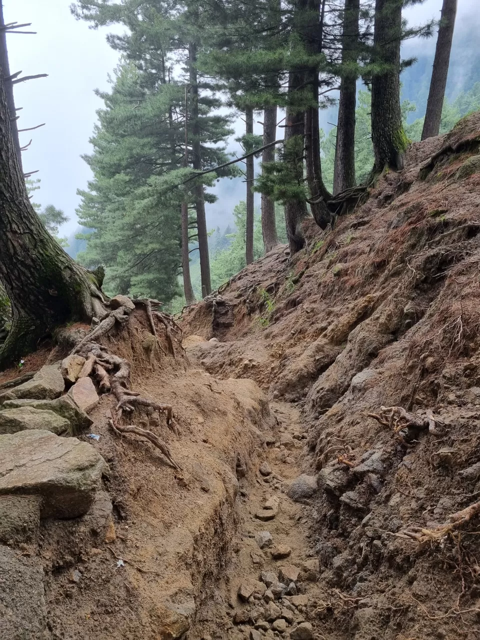 Photo of Kashmir Great Lakes Trek by MuXamil Bhatt