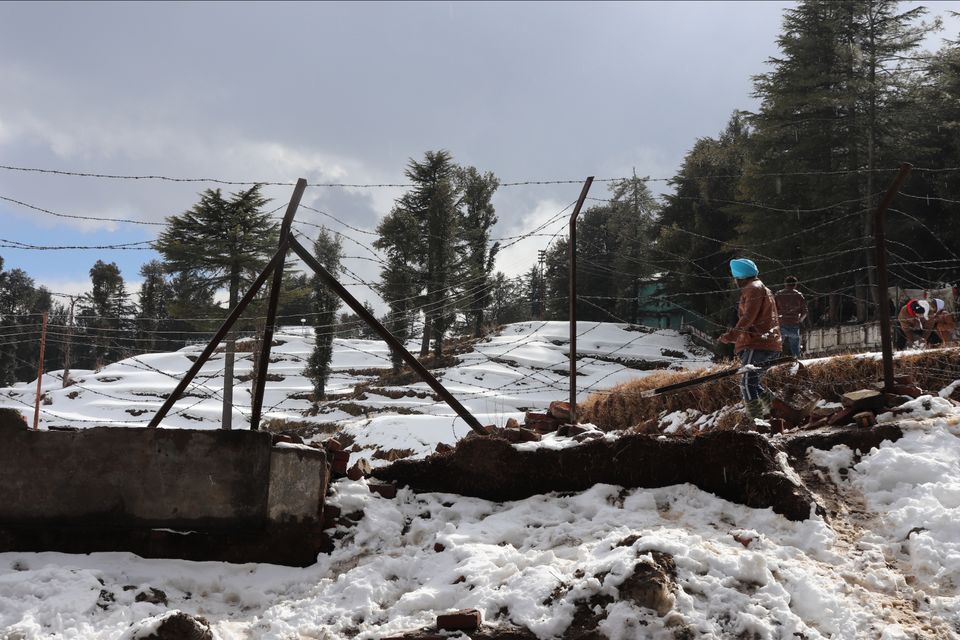 Photo of Himachal Pradesh: Shimla, Manali, Bir and Mcleodganj!! by letztravelfar