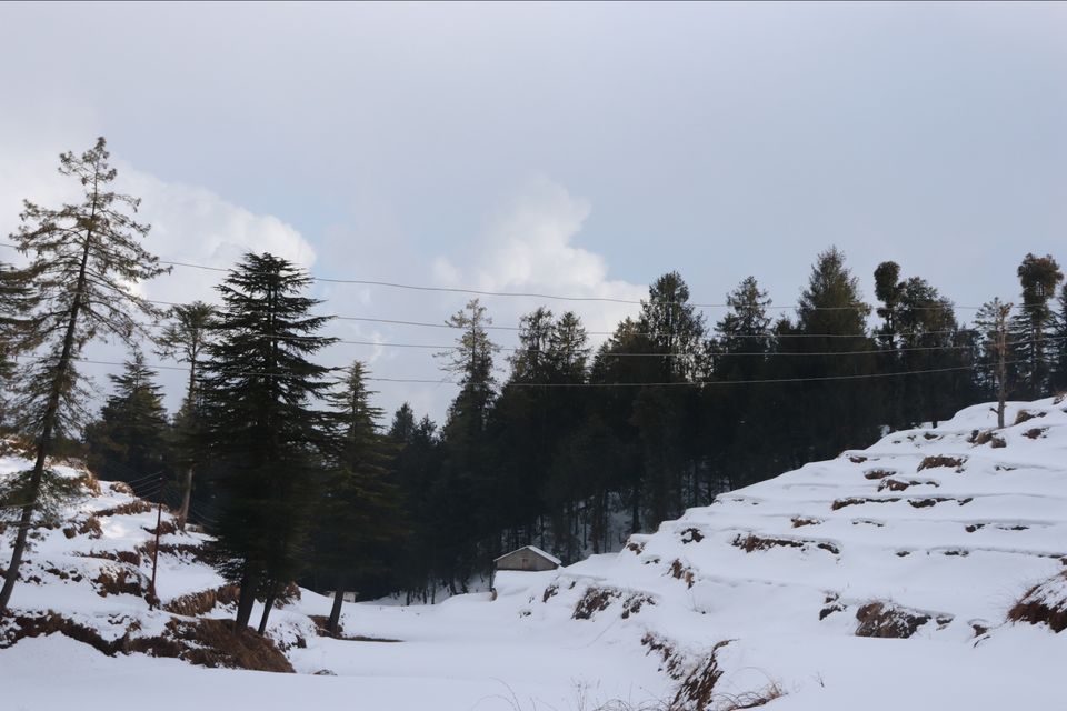 Photo of Himachal Pradesh: Shimla, Manali, Bir and Mcleodganj!! by letztravelfar