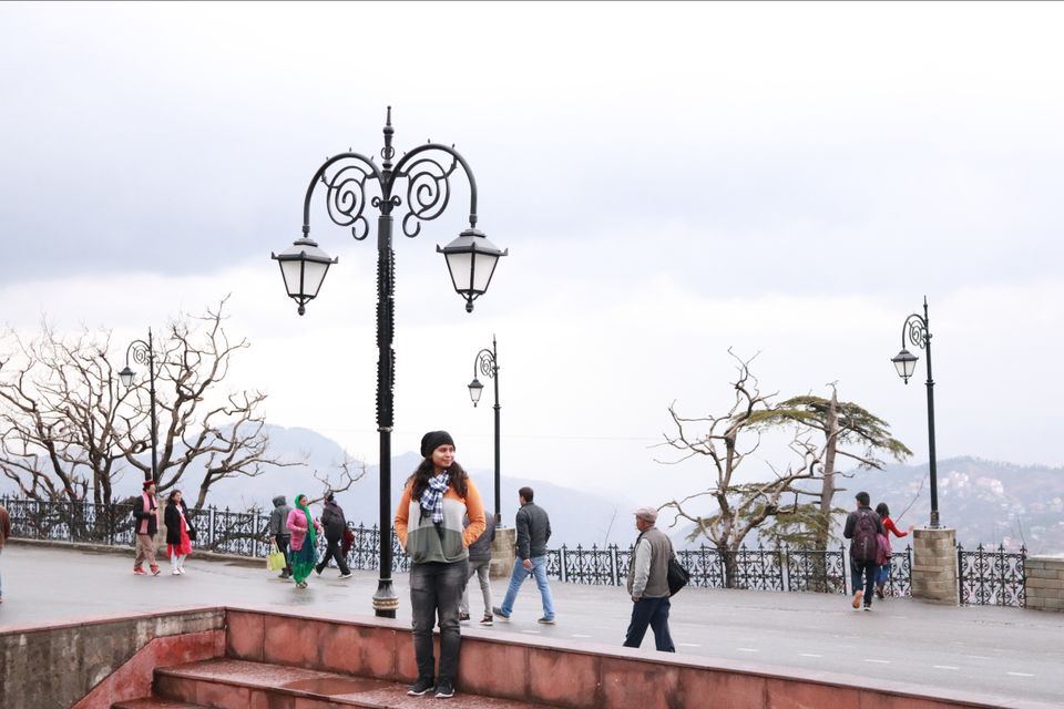 Photo of Himachal Pradesh: Shimla, Manali, Bir and Mcleodganj!! by letztravelfar