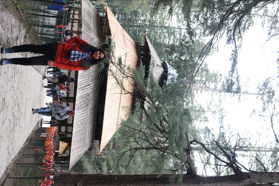 Photo of Himachal Pradesh: Shimla, Manali, Bir and Mcleodganj!! by letztravelfar
