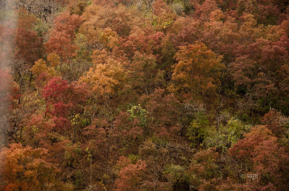 Photo of Rishikesh, Uttarakhand, India by Samudra Sengupta