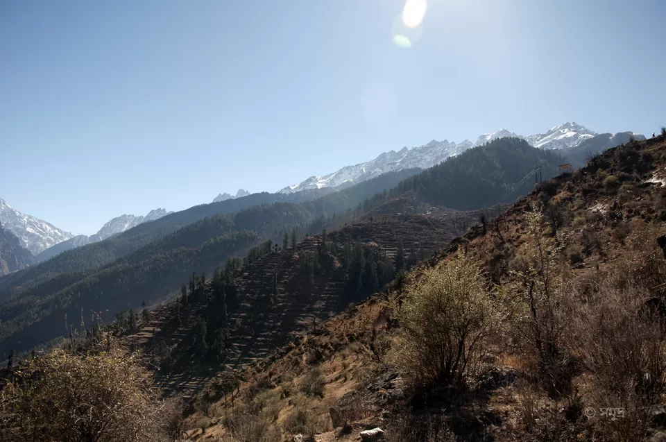 Photo of Dhak, Uttarakhand, India by Samudra Sengupta