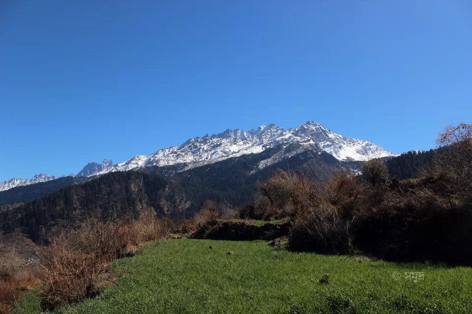 Photo of Dhak, Uttarakhand, India by Samudra Sengupta