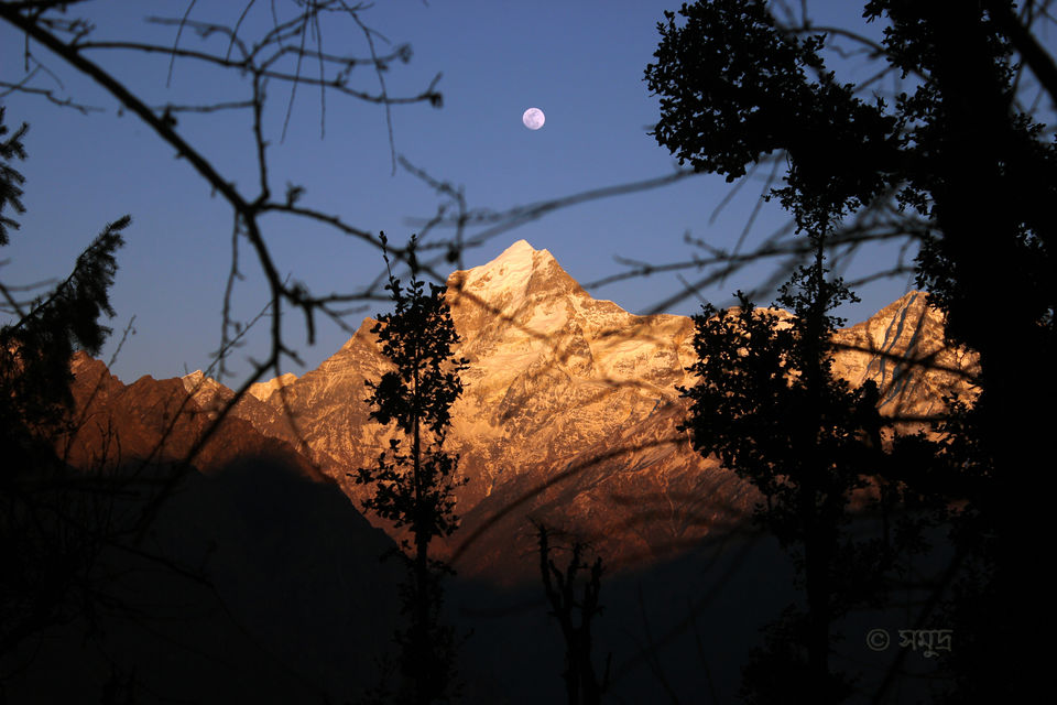 Photo of The warmth of friendship on the snow clad slopes of Kuari Pass by Samudra Sengupta
