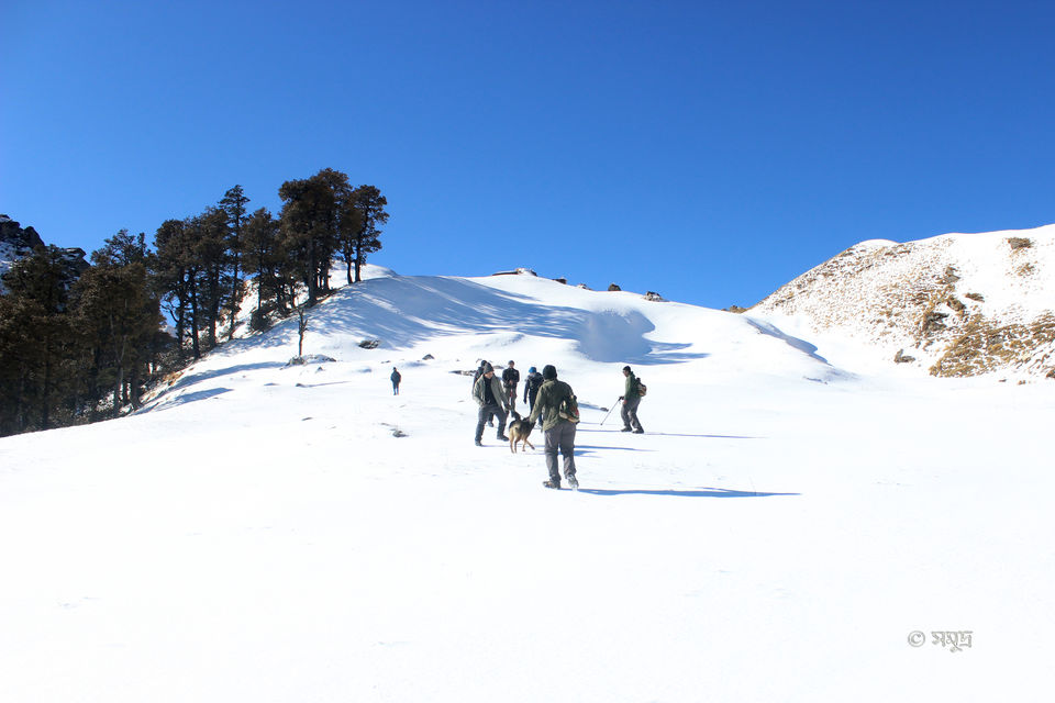 Photo of The warmth of friendship on the snow clad slopes of Kuari Pass by Samudra Sengupta