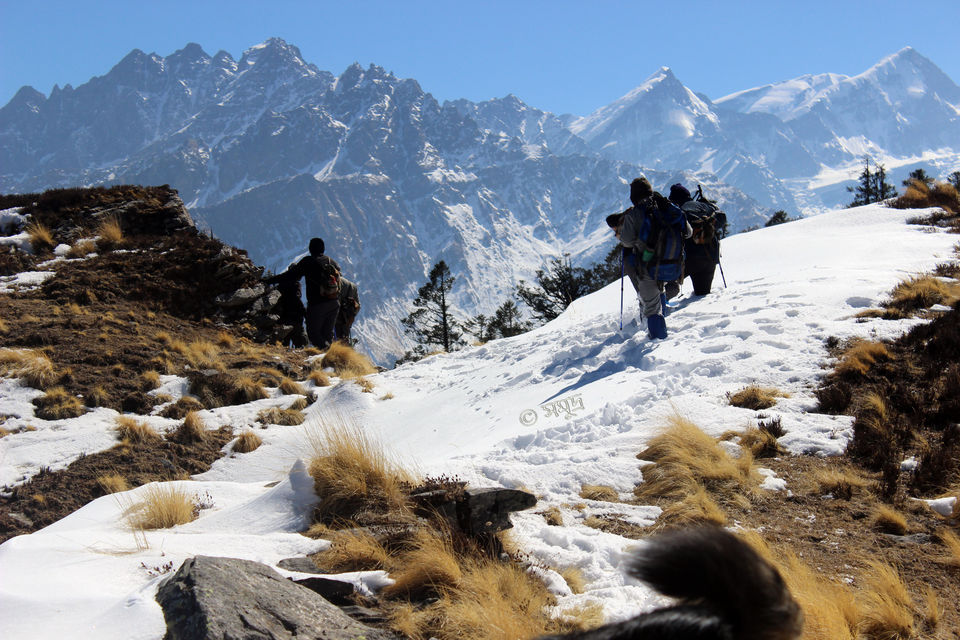 Photo of The warmth of friendship on the snow clad slopes of Kuari Pass by Samudra Sengupta