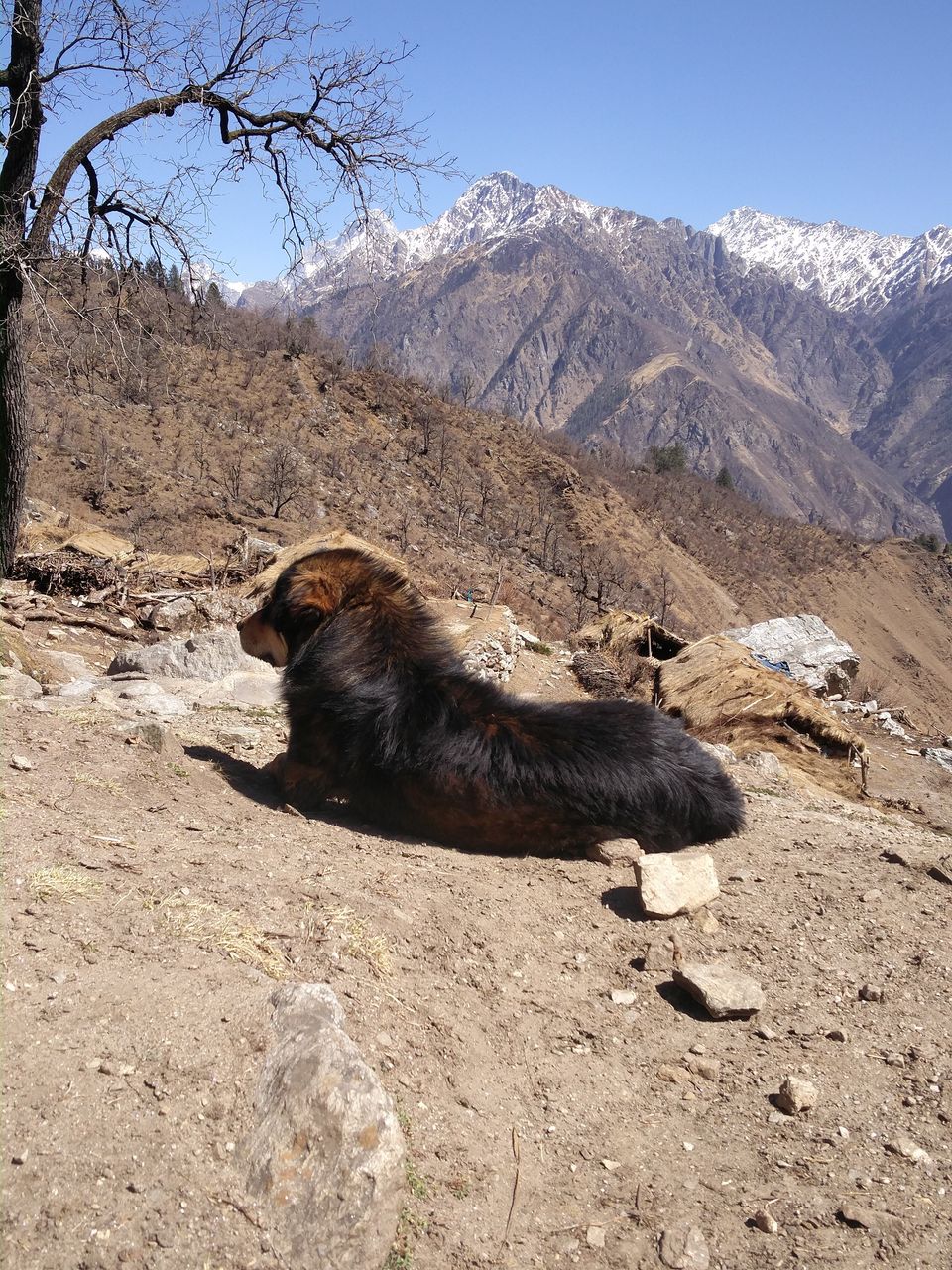 Photo of The warmth of friendship on the snow clad slopes of Kuari Pass by Samudra Sengupta