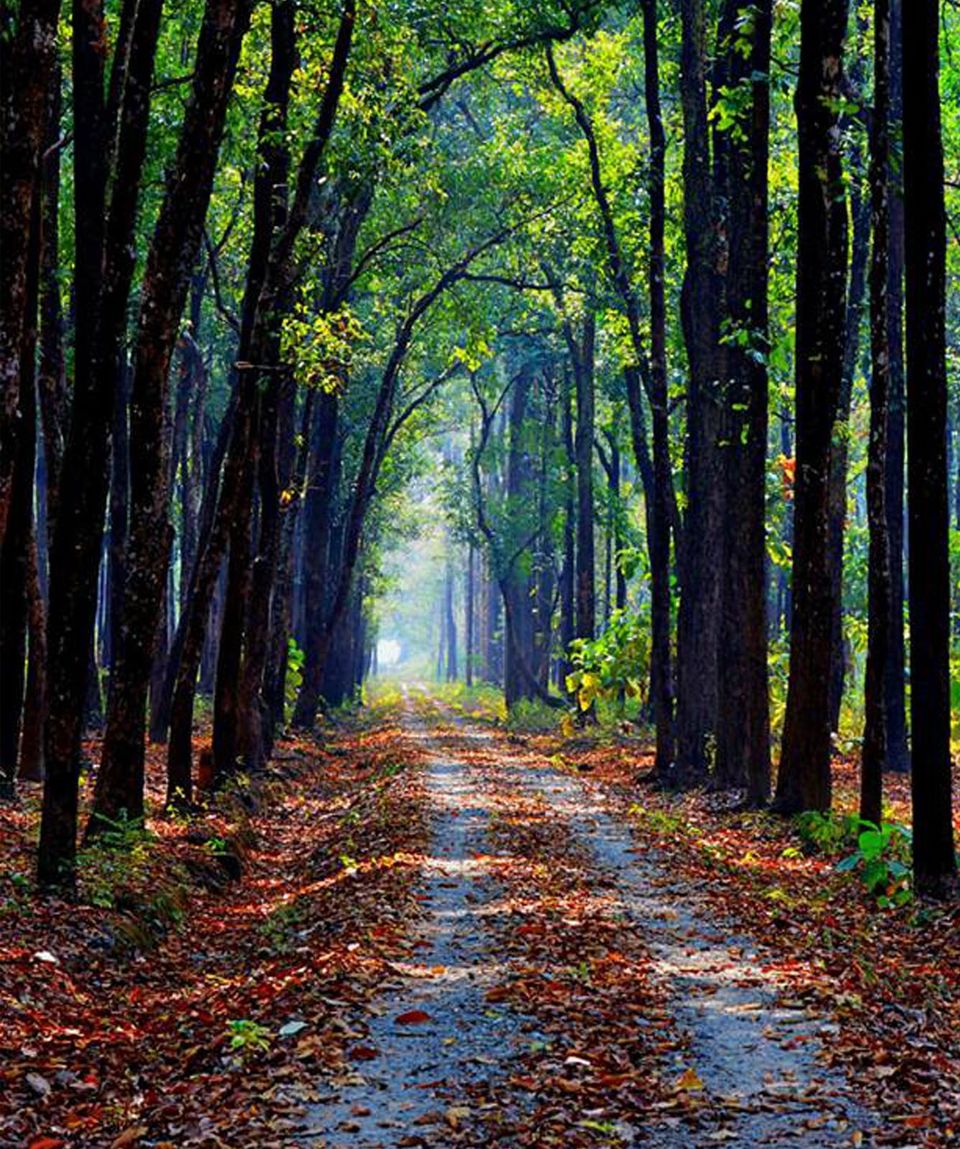 Photo of Raimatang, West Bengal by Hikerkajalsuman