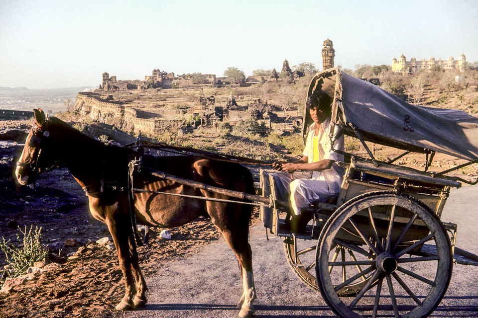 Photo of झीलों के बीच, रोमांचक छुट्टियाँ बिताने के लिए उदयपुर से बेहतर कुछ नहीं 10/16 by Manju Dahiya