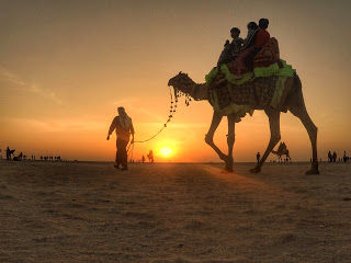 Photo of ALL YOU NEED TO KNOW BEFORE VISITING "THE GREAT RANN OF KUTCH" by the oddnaari