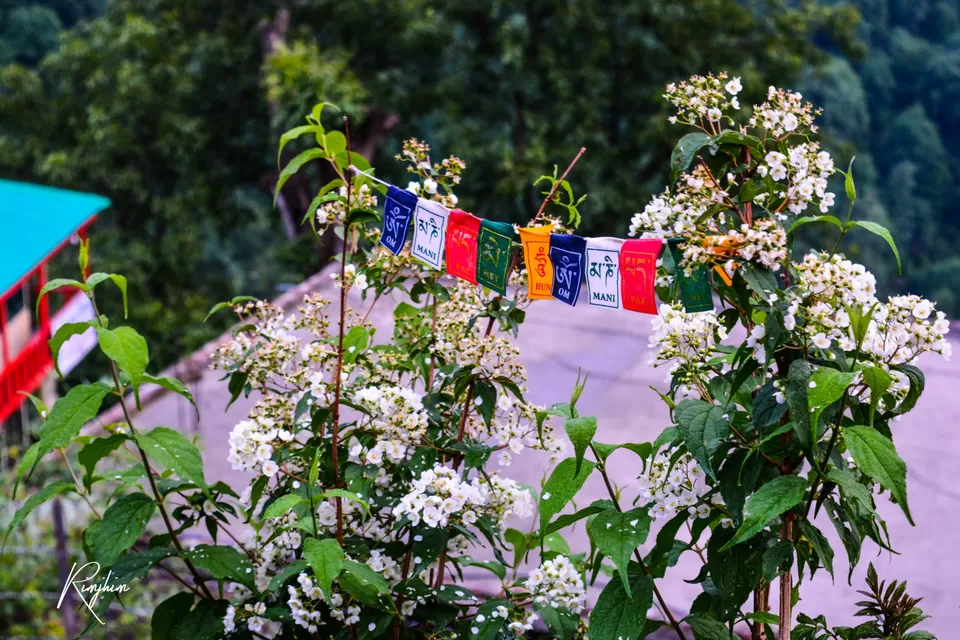 Photo of Tosh, Himachal Pradesh, India by Rimjhim