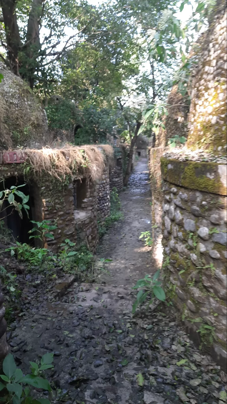 Photo of Beatles Ashram By Sujanand Damera