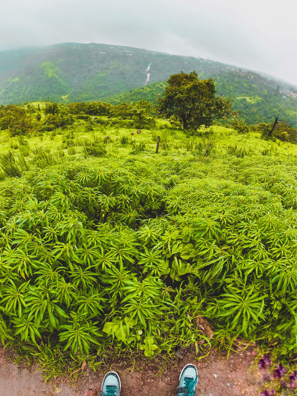 Photo of 2 Days Trip To Mahabaleshwar by Ruturaj Bhopatrao