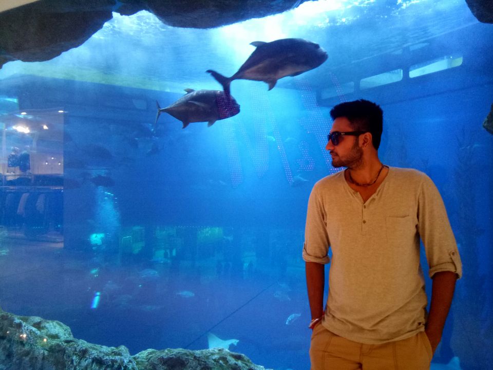 Photo of Low budget (10000 INR) Dubai trip 4N/5D by Urjit Modhia