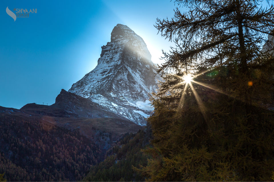 Photo of From Zermatt! by Shivaani Shashi