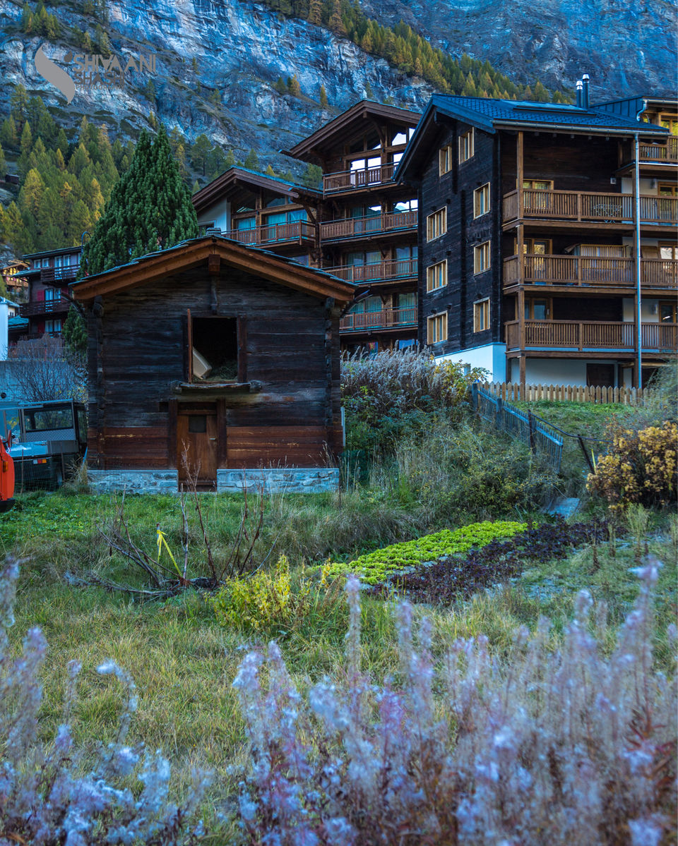 Photo of From Zermatt! by Shivaani Shashi