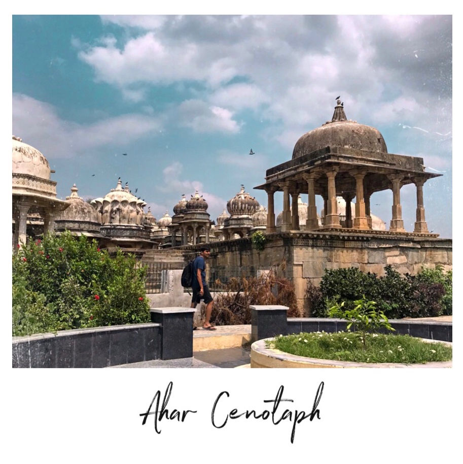 Photo of No And YES in Udaipur! by thesveltebirds