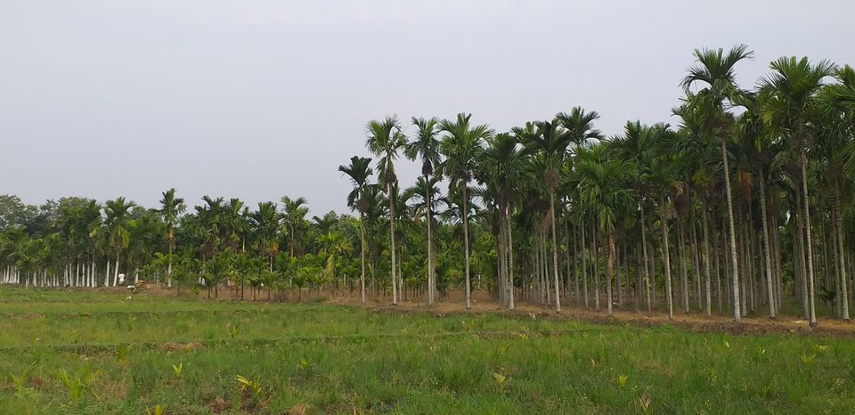 Photo of Koodli, Karnataka, India by Inhouse_Sunshine