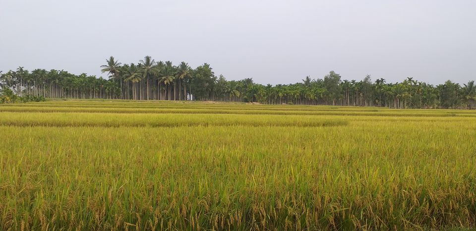Photo of Koodli, Karnataka, India by Inhouse_Sunshine