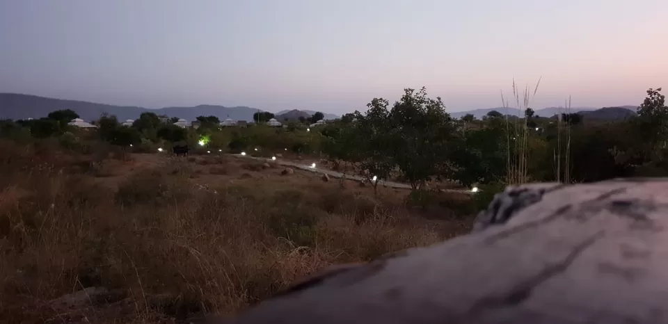 Photo of Sariska Tiger Reserve And The Best Ways To Go About It by Apurva Mittal