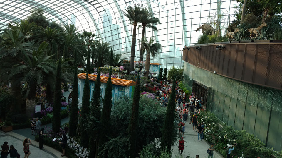 Photo of Singapore: Best Ways To Survive As An Indian by Apurva Mittal