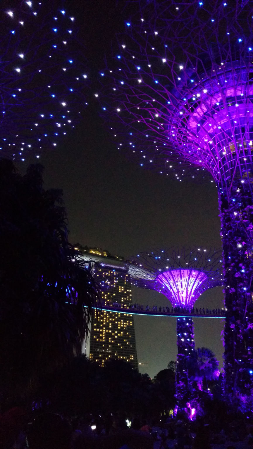 Photo of Singapore: Best Ways To Survive As An Indian by Apurva Mittal