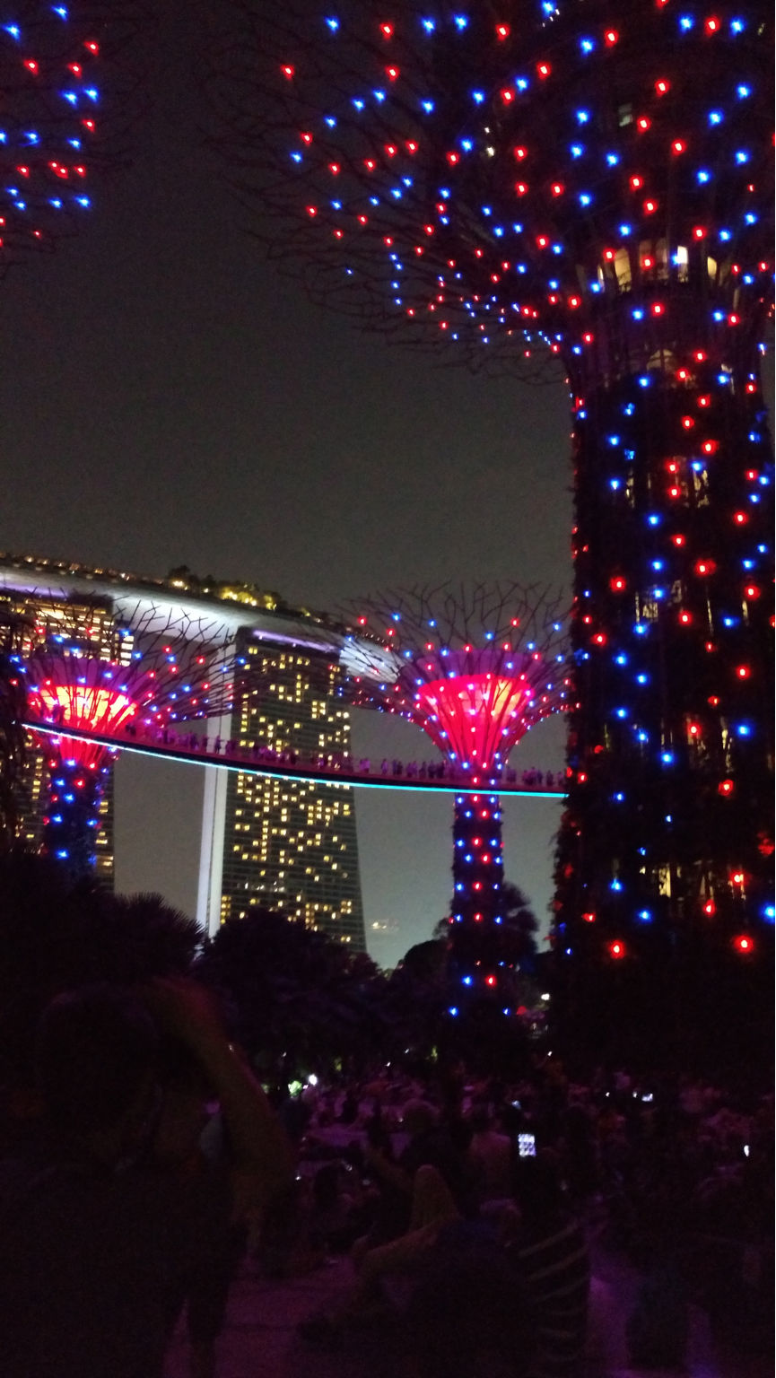 Photo of Singapore: Best Ways To Survive As An Indian by Apurva Mittal